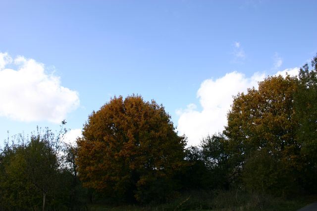 Herbst6.jpg